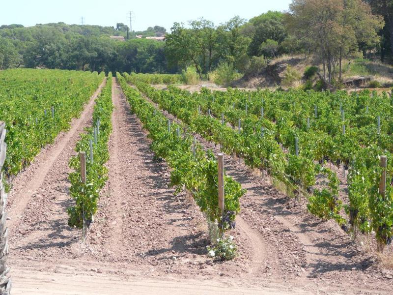 La Bastide Du Clos Des Roses - Teritoria Hotel 4*