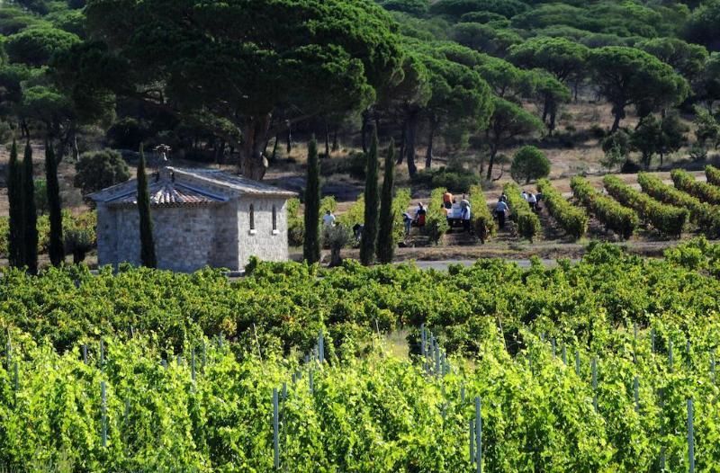 La Bastide Du Clos Des Roses - Teritoria 4* Fréjus