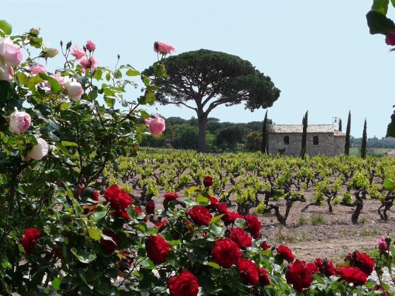 Hotel La Bastide Du Clos Des Roses - Teritoria