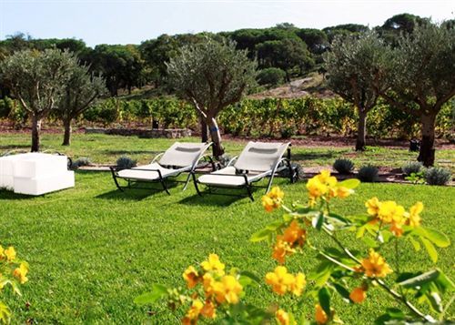 La Bastide Du Clos Des Roses - Teritoria Fréjus